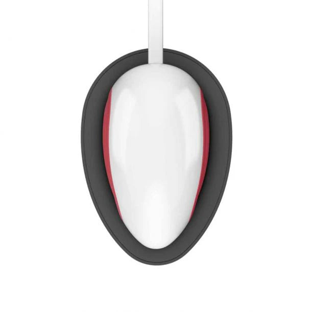 EasyPress Mini, Raspberry + Essentials Iron -On Bundle
